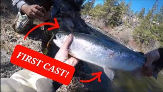 Nice steelhead FIRST CAST fishing steelhead [upl. by Sherurd]