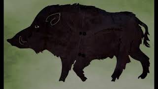 Wild Boars  the Sacred Animals of War Fertility and Hunting in Celtic Mythology [upl. by Aiuqet523]