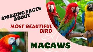 MOST Amazing FACTS about MACAWS 🐍🐍🔥animals parrot wildlife birdsanimalplanet [upl. by Kirkpatrick235]