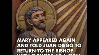 The Story of St Juan Diego and Our Lady of Guadalupe [upl. by Beller316]