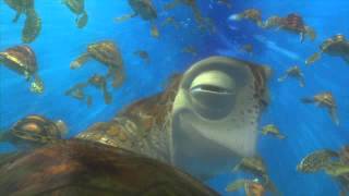 Finding Nemo quotExit Buddyquot Clip [upl. by Doersten307]