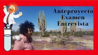 TIPS ANTEPROYECTO examen y ENTREVISTA para posgrados con beca CONACYT [upl. by Yro86]