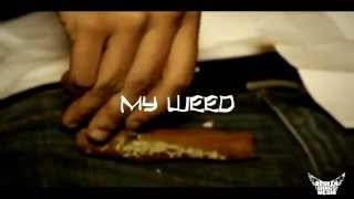 Money 6lu3  My Weed  BrokenWingsMed [upl. by Madda]