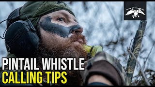 Pintail Whistle  Duck Calling Tips [upl. by Sachi]