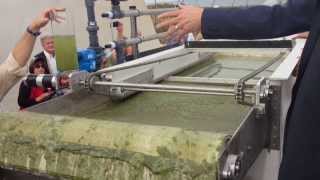 EWS Algae A60 HighSpeed ChemicalFree Algae Harvesting [upl. by Lucila]