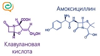 Побыстрому о лекарствах Амоксициллин и клавулановая кислота [upl. by Anaibaf]