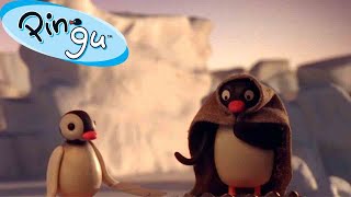 Pingus Favorite Time of the Year 🐧  Pingu  Official Channel  Cartoons For Kids [upl. by Calli]