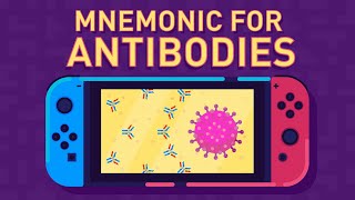 Antibodies and Their Function [upl. by Brawley]