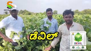 SEED PARK INDIA PVT LTD Devil cotton field farmer opinion [upl. by Setiram]