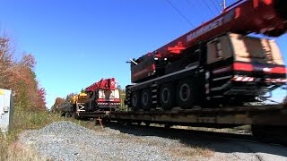 CRANES CN 5746 at Vandorf 12OCT2014 [upl. by Jean-Claude]