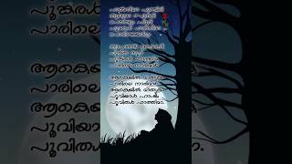 Palnila punchiri song lyrics  shorts [upl. by Erdnua320]