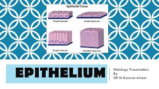 Epithelium  Cell Junctions  Apical Modifications  Dr Muhammad Kamran Ameer [upl. by Adnohsat]