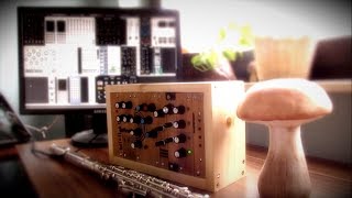 Midilar amp Flute with VCV Rack  Marbles [upl. by Aivle]