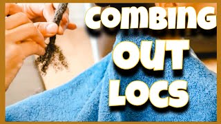 COMB OUT LOCS IN 20 MINUTES WITHOUT CUTTING YOUR HAIR LOC TUTORIAL [upl. by Arten]