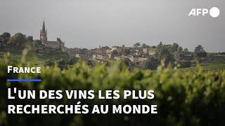 Vin SaintEmilion le classement de la discorde  AFP [upl. by Amary]