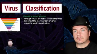 How Viruses are Classified and Named [upl. by Justina173]