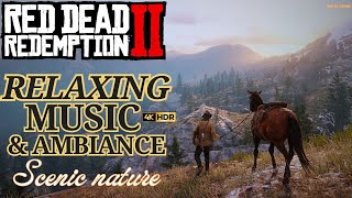 Relaxing Wilderness  Red Dead Redemption 2 Music amp Ambience [upl. by Aisetal748]