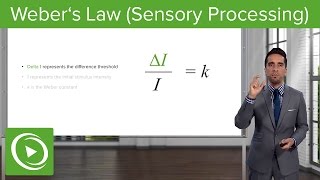 Weber´s Law Sensory Processing Proportion amp Examples – Sensing the Environment  Lecturio [upl. by Elysha945]