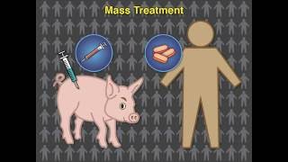 Eradicating Pork Tapeworm Transmission [upl. by Lonyer]