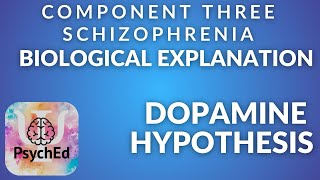 Biological explanation of schizophrenia  dopamine hypothesis [upl. by Mccormick]