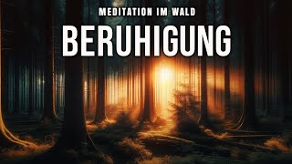 Meditation im Wald 🌲 Beruhigung [upl. by Lleneg849]