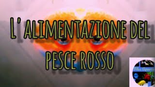 Come alimentare il pesce rosso pescirossi oranda alimentazione [upl. by Aij]