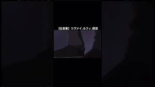 【名言集】心に残る名言集 リヴァイ、ルフィ、悟空名言集 ワンピース 進撃の巨人 ドラゴンボール [upl. by Stickney151]