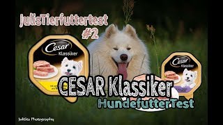 Hundefutter CESAR Klassiker im Test Nassfutter für Hunde  Review  JulisTierfuttertest 2 [upl. by Suhploda]