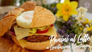 Panini al Latte Velocissimi Senza Glutine Nichel a Lievitazione Istantanea [upl. by Guillermo]