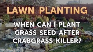 When Can I Plant Grass Seed After Crabgrass Killer [upl. by Gunner]