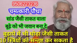 तृण ज्योति घास का चमत्कार। वृद्ध भी यौवन प्राप्त कर लेता है । दस तरूण महिला को सन्तुष्ट कर सकता है। [upl. by Oiramad853]