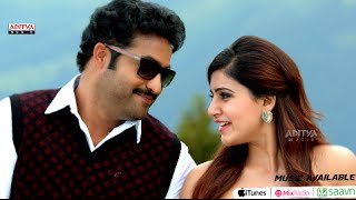 Rabasa Song Trailers  Hawa Hawa Song  Jr NTR Samantha Pranitha  Rabhasa [upl. by Lleneg]