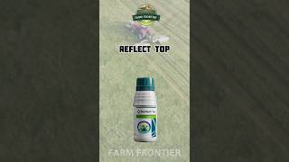 Reflect Top Syngenta fungicide  Isopyrazam 115  Difenoconazole 115 WW SC syngenta shorts [upl. by Eachern]