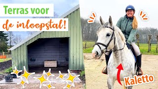 ZELF PAARDENTERRAS MAKEN amp bij KRISTY langs  felinehoi VLOG 430 [upl. by Aneert989]