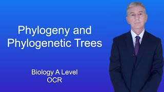 A Level Biology Revision quotPhylogeny and Phylogenetic Treesquot [upl. by Eliak]