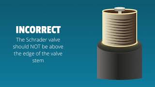 RVi Trip Tips Checking Your Schrader Valves best practice for Tire Patrol TPMS [upl. by Asira942]