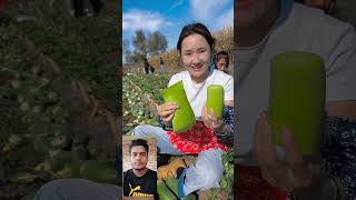 vegetable farming mola shortvideo vegetable cutting YouTube short viral video reels [upl. by Granese]