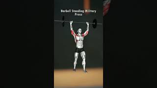 Barbell Standing Military Press Guide Enhance Your Shoulders Workouts [upl. by Trebeh]