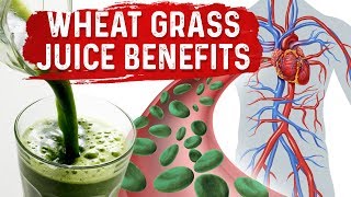 Green Blood Therapy – Benefits of Wheatgrass Juice Powder – DrBerg [upl. by Lolande]