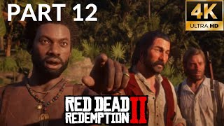 RED DEAD REDEMPTION 2 Gameplay Walkthrough PART 12 4K UHD   No Commentary [upl. by Stacee]