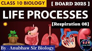 Breathing and Respiration ll Human Respiratory System ll Life Processes ll class10th biology [upl. by Elleirbag]