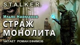 STALKER Страж Монолита аудиокнига БОЕВАЯ ФАНТАСТИКА Ильяс Найманов Читает Роман Ефимов [upl. by Vincelette336]