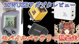 30W対応USBアダプターレビューしていたら モバイルバッテリー熱暴走で発火爆発寸前 塩水へ [upl. by Ailssa161]