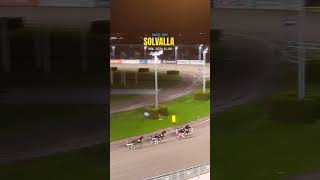 V86 Race Day 06112024 at Solvalla 🤩solvalla atg horseracing europe [upl. by Adila603]