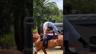 vaulting twohearts equestrian vault shorts shortvideo shortscreators [upl. by Ainoet]