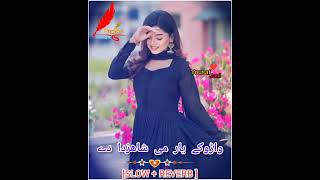 waroka yar me shazada da pashto song slow  reverb [upl. by Benenson]