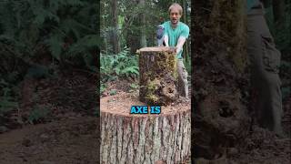 🧿Splitting Logs Like a Pro  Forest Survival Hack [upl. by Lippold]