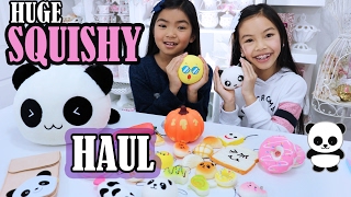 HUGE SQUISHY HAUL [upl. by Tselec291]