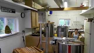 Honey Extracting 2013 at Davis Family Farms using Maxant chain uncapper junior spinner [upl. by Caputto]