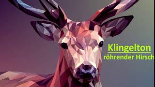 Röhrender Hirsch Klingelton 🦌 Hirschruf Brunftschrei kostenlos als MP3Download [upl. by Akenahc]